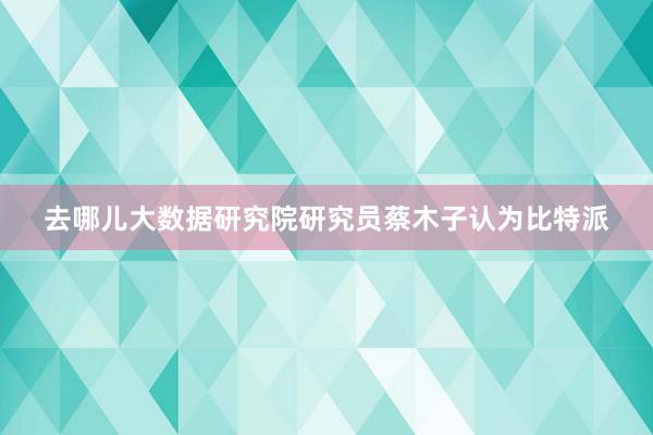 去哪儿大数据研究院研究员蔡木子认为比特派