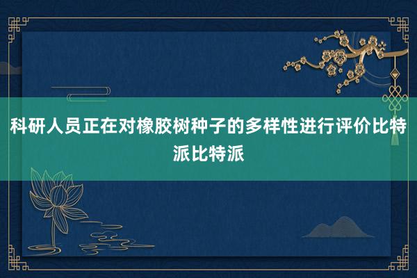 科研人员正在对橡胶树种子的多样性进行评价比特派比特派