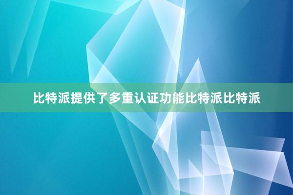 比特派提供了多重认证功能比特派比特派