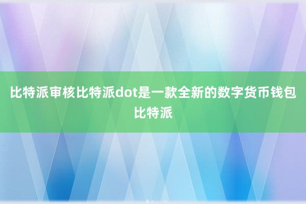 比特派审核比特派dot是一款全新的数字货币钱包比特派