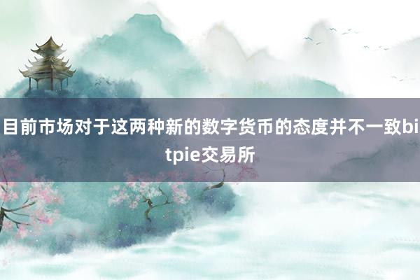 目前市场对于这两种新的数字货币的态度并不一致bitpie交易所