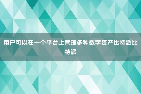 用户可以在一个平台上管理多种数字资产比特派比特派