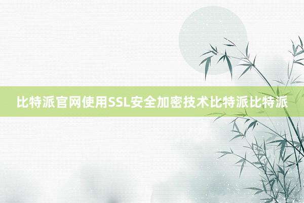 比特派官网使用SSL安全加密技术比特派比特派