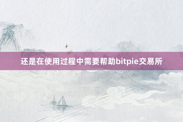 还是在使用过程中需要帮助bitpie交易所