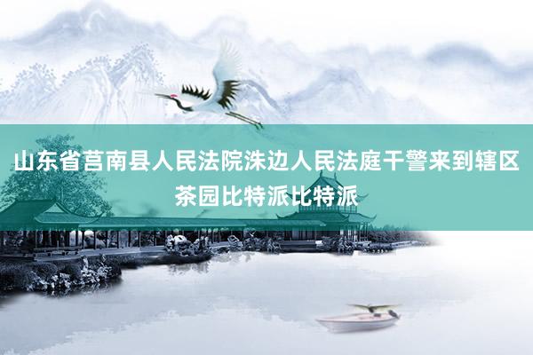 山东省莒南县人民法院洙边人民法庭干警来到辖区茶园比特派比特派