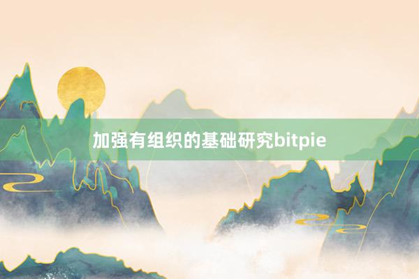 加强有组织的基础研究bitpie