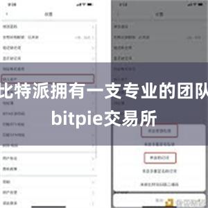 比特派拥有一支专业的团队bitpie交易所