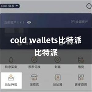 cold wallets比特派比特派