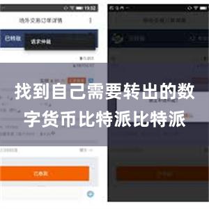 找到自己需要转出的数字货币比特派比特派