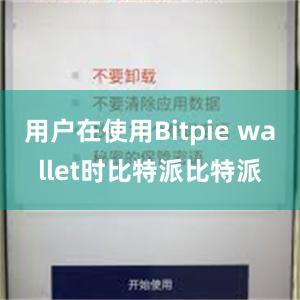 用户在使用Bitpie wallet时比特派比特派