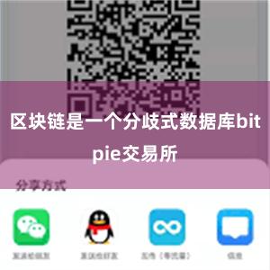 区块链是一个分歧式数据库bitpie交易所